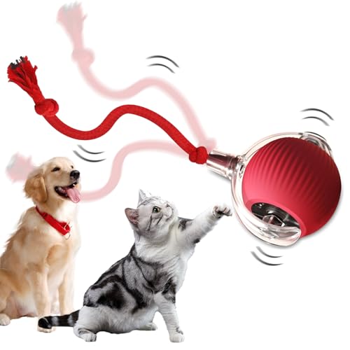 JOAAZAR Chewie Rolling Ball für Katzen Hunde, Interactive Cat Toys Rolling Ball, Interaktives Katzenspielzeug mit USB-Aufladung, Für Große und Kleine Katzen Hunde(Rot) von JOAAZAR