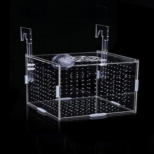 JOBEDE Acryl-Fischzuchtbox, Fischtrennung, Züchterbox, Acryl-Fischtank-Zucht-Isolationsbox für Aquarien, Brutstätten, Inkubator mit Saugnäpfen für Babyfische, Garnelen, Clownfische (15,2 x 10,2 x 10,2 von JOBEDE