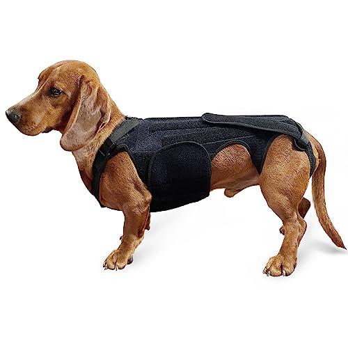 JOCUND Hunde-Rückenbandage, IVDD Rückenbandage für Hunde, Rückenbandage für Dackel-Bandscheibenerkrankungen, Arthritis, Wirbelsäulen-chirurgische Genesung, Bandscheibenvorfall (XL) von JOCUND