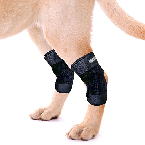 JOCUND Hundebeinbandagen für das Hinterbein, Hunde-Kniebandage für Hinterbein, ältere Hunde, Hinterbein-Hock-Wrap für zerrissenes Hinterbein, ältere Hunde mit Arthritis, verstauchter Sprunggelenk, von JOCUND