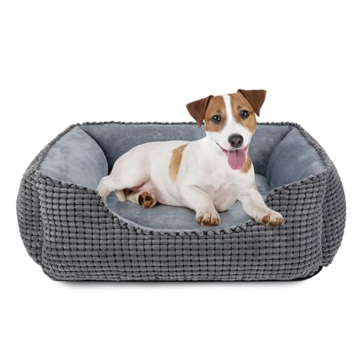 JOEJOY Hundebett Mittelgroße Hunde, Hundebett Waschbar Flauschig Hundekorb, rutschfeste Hundekörbchen, Plüsch Hundebetten, 63x53x20cm, Hundebett für Kleine und Mittlere Hunde und Katzen von JOEJOY