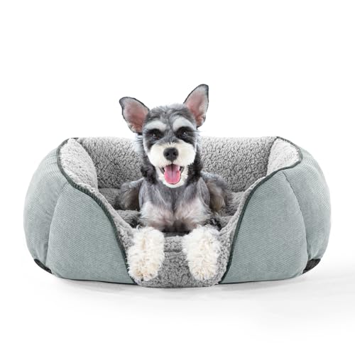 JOEJOY Dog Bed, Hundebett Kleine Hunde Hundekorb Waschbar - Flauschig Hundekorb, Dog Sofa,Kuschelig PlüSch Hundebett für Hunde und Katzen-Helles Grau(S 51×48×15cm) von JOEJOY