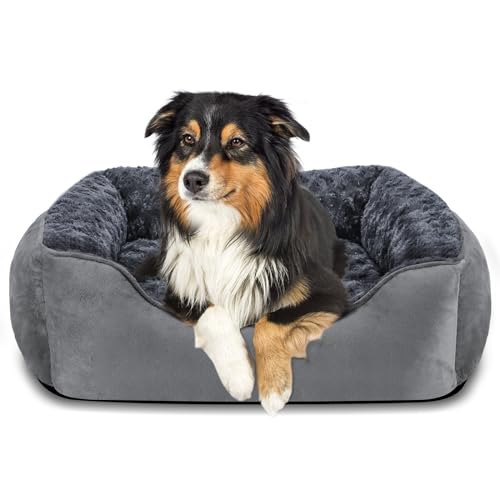 JOEJOY Hundebett Hundekorb Waschbar Hundekörbchen rutschfeste Hundebetten Flauschig Hundematratze mit Erhöhte Ränder Weiches Hundesofa für Grosse Hunde Katzen XL(89x63x23cm) Grau von JOEJOY