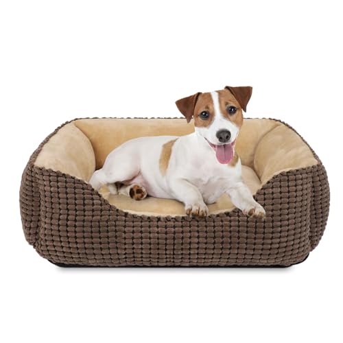 JOEJOY Hundebett Mittelgroße Hunde, Hundebett Waschbar Flauschig Hundekorb, rutschfeste Hundekörbchen, Plüsch Hundebetten, 63x53x20cm, Hundebett für Kleine und Mittlere Hunde und Katzen von JOEJOY