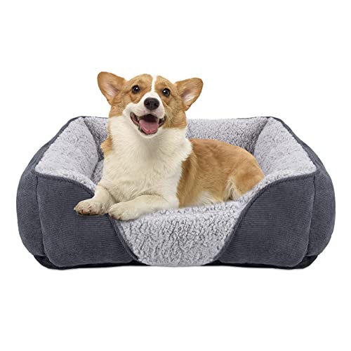 JOEJOY Hundebett Mittelgroße kleine Hunde Hundekorb Waschbar - Flauschig Hundebetten, rutschfest Hundekorb Hundesofa, Kuschelig HundeköRbchen für Hunde und Katzen(M 63×53×20 cm von JOEJOY