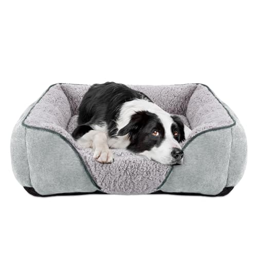 JOEJOY Hundebett Mittelgroße kleine Hunde Hundekorb Waschbar - Flauschig Hundebetten, rutschfest Hundekorb Hundesofa, Kuschelig HundeköRbchen für Hunde und Katzen-Helles Grau(M 63×53×20 cm von JOEJOY