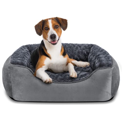 JOEJOY Hundebett Hundekorb Waschbar Hundekörbchen rutschfeste Hundebetten Flauschig Hundematratze mit Erhöhte Ränder Weiches Hundesofa für Kleine Hunde Katzen M(63x53x20cm) Grau von JOEJOY