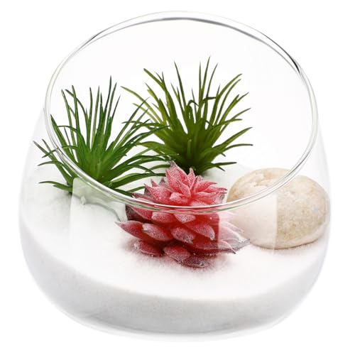 1 Stück Mikrolandschaft Glasflasche für Sukkulenten Transparentes Fläschchen mit Korkdeckel Dekoratives Pflanzgefäß für Garten Deko Langlebiges Design für Arrangements 1 Stück Mikrolandschaft Glasflasche für Sukkulenten Transparentes Fläschchen mit Korkdeckel Dekoratives Pflanzgefäß für Garten Deko Langlebiges Design für Arrangements von JOINPAYA