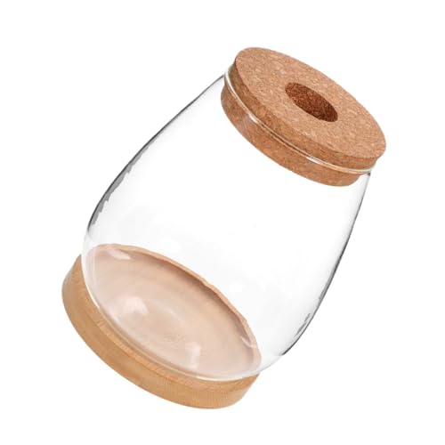 JOINPAYA 1Satz Glasflasche Terrarium für Hydroponische Pflanzen DIY Tischdekoration Transparente Flasche mit Bambusdeckel für Mikrolandschaften und Tischdeko JOINPAYA 1Satz Glasflasche Terrarium für Hydroponische Pflanzen DIY Tischdekoration Transparente Flasche mit Bambusdeckel für Mikrolandschaften und Tischdeko von JOINPAYA