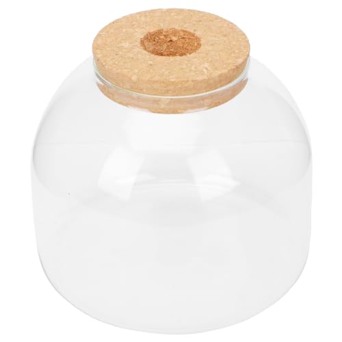 JOINPAYA Glasflasche Für Terrarium DIY Mikrolandschaftsflasche Pflanzenterrarium Transparenter Behälter Für Moos Mikrolandschaftshalter Für Zuhause JOINPAYA Glasflasche Für Terrarium DIY Mikrolandschaftsflasche Pflanzenterrarium Transparenter Behälter Für Moos Mikrolandschaftshalter Für Zuhause von JOINPAYA
