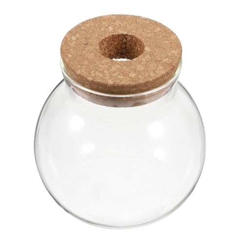 JOINPAYA Terrarium Vase mit Korkdeckel Kleine Transparente Pflanzenvase für Moos Sukkulenten Hydroponik Fischschale Dekoration JOINPAYA Terrarium Vase mit Korkdeckel Kleine Transparente Pflanzenvase für Moos Sukkulenten Hydroponik Fischschale Dekoration von JOINPAYA