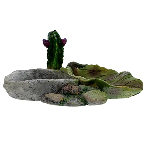 Reptilische Wasser und Futterschale für Schildkröten Eidechsen Schlangen und Andere Reptilien Praktische Trink und Fütterungsstation für Terrarien Reptilische Wasser und Futterschale für Schildkröten Eidechsen Schlangen und Andere Reptilien Praktische Trink und Fütterungsstation für Terrarien von JOINPAYA