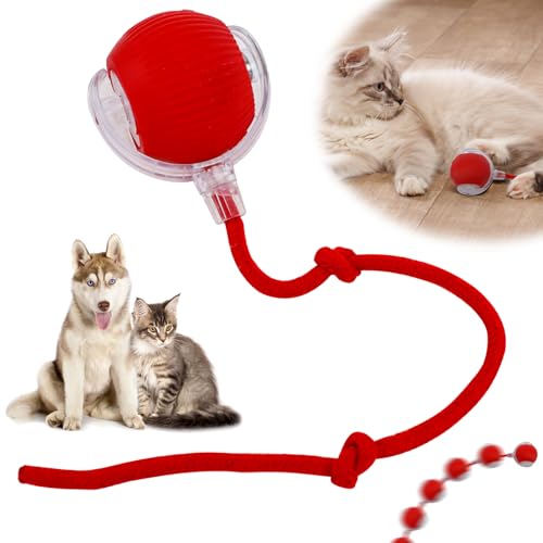 JOLIGAEA Interaktives Katzenspielzeug Katzenball, Automatisch Rollender Intelligenz Ball, Hundespielzeug Ball mit Schnur, Katzenbälle für Katzen Hunde (Rot) von JOLIGAEA