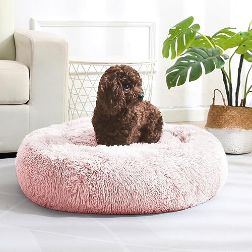 JOLLYVOGUE Beruhigendes Donut Hundebett & Katzenbett, flauschiges Kunstfell-Plüsch-Hunde-Kuschelbett, Anti-Angst-Hund, rundes Bett, waschbar, wärmend, gemütlich, weich, Hunde- und Katzenkissenbett für von JOLLYVOGUE