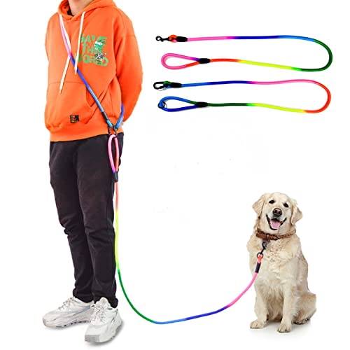 JOPOY Freihändige Hundeleine (3 m) – starke Hundetrainingsleine, 1 cm dicke Nylon-Doppelleine für kleine, mittelgroße und große Hunde, Service, Gehen, Laufen (Regenbogen, 3m) von JOPOY