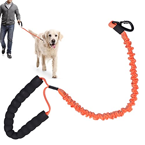 JOROBURO Hundeleine, Robuste Hundeleine BungeeDog-Trainingsleine mit Griff, Outdoor-Haustier-Nylon-reflektierende Leine, Elastische Hundeleine für Kleine, Mittelgroße und Große Hunde von JOROBURO