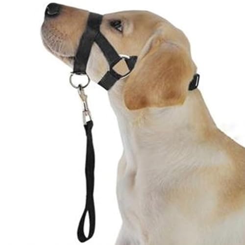 Hundemaulkorb, Verstellbares Hundehalsband, Verhindert das Beißen, Bellen und Weglaufen, Hundemaulkorb mit Abschleppseil für Kleine, Mittelgroße, Große und Mittelgroße Hunde(XXL) von JOROBURO