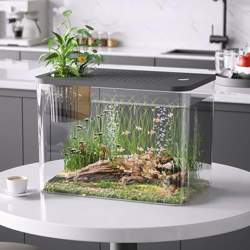 Kleines Aquarium, Kunststoff, Durchsichtig, Mikro-Landschaft, Desktop-Aquarium, Betta-Aquarium, Desktop-Mini-Fischschale, Aquarium-Aquarium, Transparentes Tank-Set, Fischschale für(Schwarz) von JOROBURO