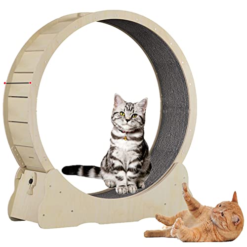 Katzenrad, Katzenlaufband, Katzen-Trainingsrad, niedliches Katzenmöbel, Haustierspielzeug, Katzenspielzeug, Gewichtsverlustgerät, Katzen-Spinnrad, ideal für körperliche Aktivität und Reduzierung von von JOSKAA