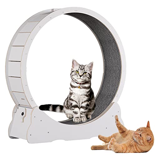 Katzenrad, Katzenlaufband, Katzen-Trainingsrad, niedliches Katzenmöbel, Haustierspielzeug, Katzenspielzeug, Gewichtsverlustgerät, Katzen-Spinnrad, ideal für körperliche Aktivität und Reduzierung von von JOSKAA