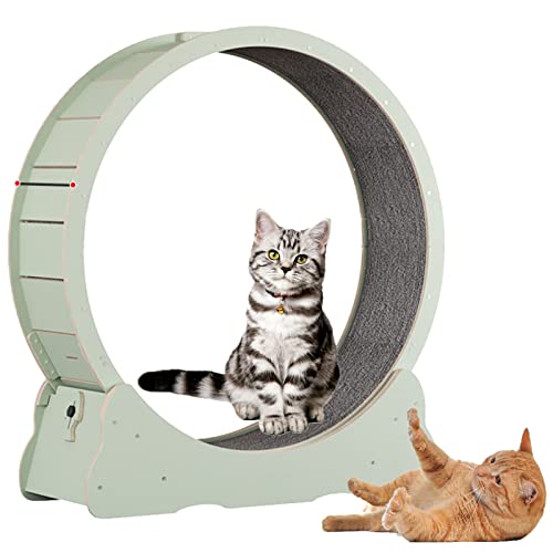 Katzenrad, Katzenlaufband, Katzen-Trainingsrad, niedliches Katzenmöbel, Haustierspielzeug, Katzenspielzeug, Gewichtsverlustgerät, Katzen-Spinnrad, ideal für körperliche Aktivität und Reduzierung von von JOSKAA