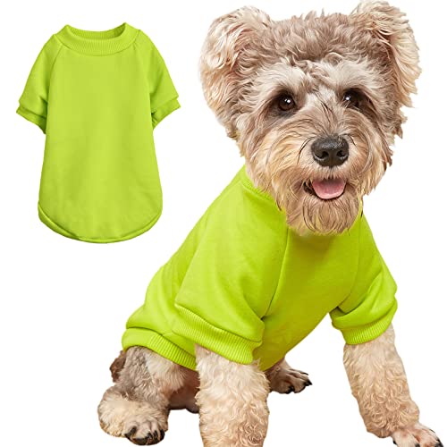 Puppy Sweater for Small Dogs Clothes Warm Winter Cat Clothe Pet Sweatshirt Knitwear Doggie Kitten Clothing, Light Green, Large von JOUHOI