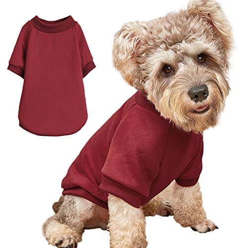 Puppy Sweater for Small Dogs Clothes Warm Winter Cat Clothe Pet Sweatshirt Knitwear Doggie Kitten Clothing, Wine, X-Large von JOUHOI