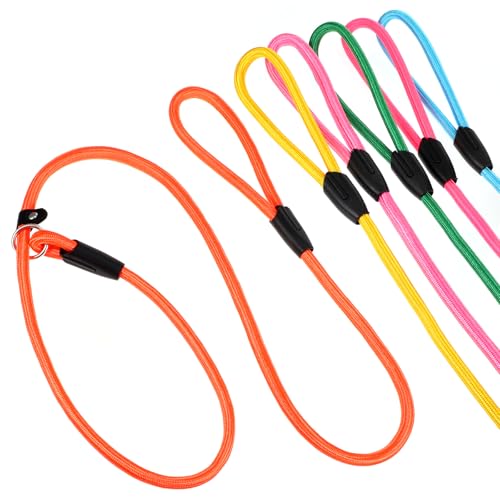 6-teiliges Premium-Hundeleinen-Set, 1,5 m, robustes Seil für kleine und mittelgroße Hunde in einer lebendigen 6-farbigen Kollektion 6-teiliges Premium-Hundeleinen-Set, 1,5 m, robustes Seil für kleine und mittelgroße Hunde in einer lebendigen 6-farbigen Kollektion von JOUTYFOR