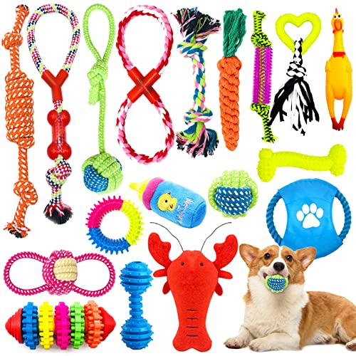 JOYBOY Hundespielzeug,18 Stück Welpenspielzeug,Natürlicher Baumwolle,Interaktive Hunde Kauspielzeuge für Zahnpflege,für Kleine und Mittlere Hunde von JOYBOY