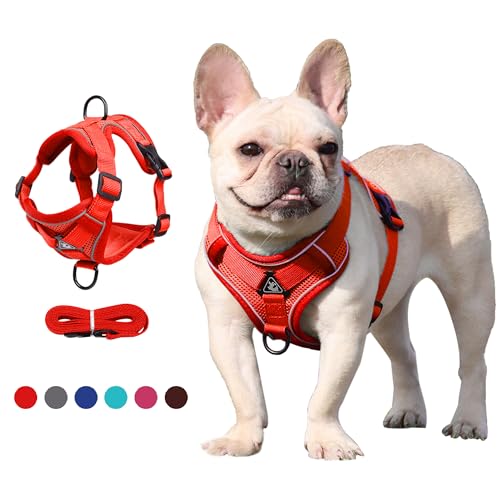 JOYPAWS Easy Walk Hundegeschirr und Leine, Samll Hundegeschirr zum Einsteigen, verbesserter dreieckiger stabiler Ring, 2 Leinenclips, kein Ziehen, Haustierzubehör für Outdoor-Walking-Training, Rot, von JOYPAWS