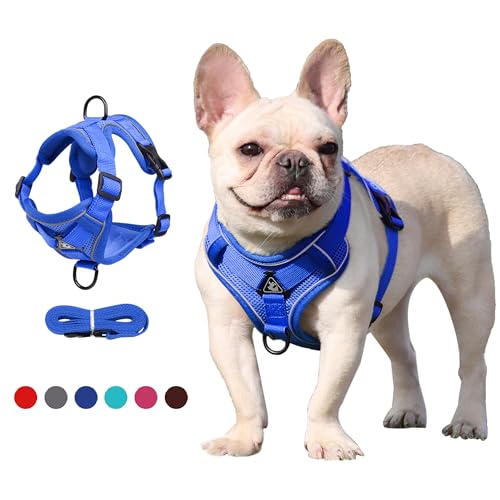 JOYPAWS Easy Walk Hundegeschirr und Leine, Samll Hundegeschirr zum Einsteigen, verbesserter dreieckiger stabiler Ring, 2 Leinenclips, kein Ziehen, Haustierzubehör für Outdoor-Walking-Training, von JOYPAWS