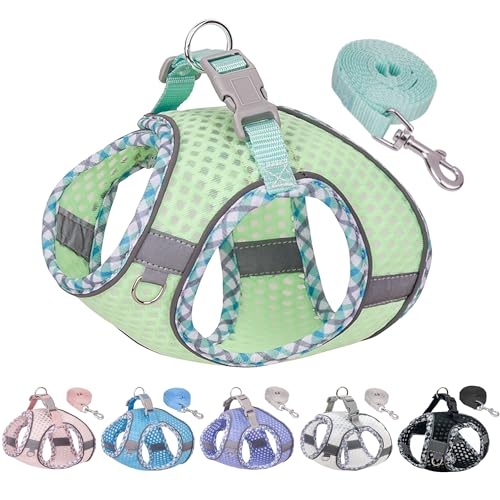 JOYPAWS Hundegeschirr und Leine, kein Ziehen, ausbruchsicher, Westengeschirr mit weichem Diamant-Mesh und reflektierenden Bändern, verstellbar, für mittelgroße Hunde, Salbei, Größe M von JOYPAWS