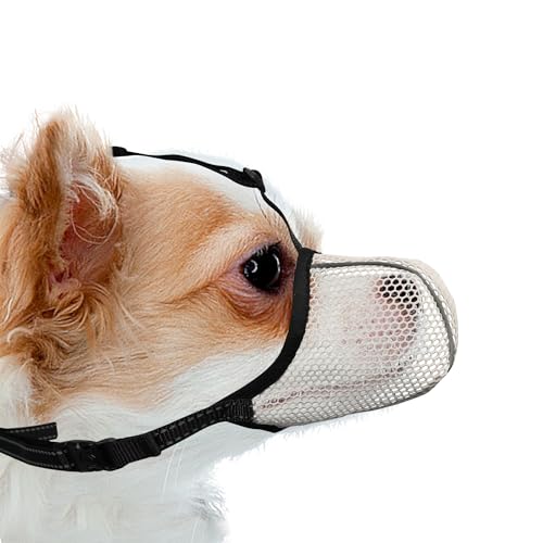 JOYPAWS Maulkorb für Hunde, atmungsaktiv, weich, für extra kleine Hunde, verhindert Bellen und Beißen, Kauen, reflektierender und verstellbarer Korbmaulkorb mit Air-Mesh für Dackel, Beige, XS JOYPAWS Maulkorb für Hunde, atmungsaktiv, weich, für extra kleine Hunde, verhindert Bellen und Beißen, Kauen, reflektierender und verstellbarer Korbmaulkorb mit Air-Mesh für Dackel, Beige, XS von JOYPAWS