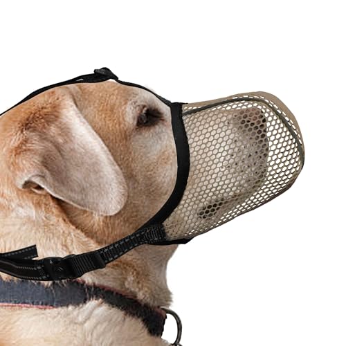 JOYPAWS Maulkorb für Hunde, atmungsaktiv, weich, für große Hunde, verhindert Bellen und Beißen, Kauen, reflektierender und verstellbarer Korbmaulkorb mit Luftnetz, für Dobermann, Braun, XL JOYPAWS Maulkorb für Hunde, atmungsaktiv, weich, für große Hunde, verhindert Bellen und Beißen, Kauen, reflektierender und verstellbarer Korbmaulkorb mit Luftnetz, für Dobermann, Braun, XL von JOYPAWS