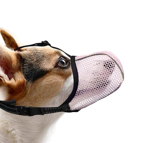 JOYPAWS Maulkorb für Hunde, atmungsaktiv, weich, für kleine Hunde, gegen Bellen, Beißen, Kauen, reflektierender und Verstellbarer Korbmaulkorb mit Luftnetz, für Spielzeugpudel, Rosa, S JOYPAWS Maulkorb für Hunde, atmungsaktiv, weich, für kleine Hunde, gegen Bellen, Beißen, Kauen, reflektierender und Verstellbarer Korbmaulkorb mit Luftnetz, für Spielzeugpudel, Rosa, S von JOYPAWS