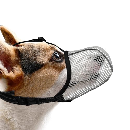 JOYPAWS Maulkorb für Hunde, atmungsaktiv, weich, für kleine Hunde, gegen Bellen, Beißen, Kauen, reflektierender und verstellbarer Korbmaulkorb mit Luftnetz, für Spielzeugpudel, Grau, S JOYPAWS Maulkorb für Hunde, atmungsaktiv, weich, für kleine Hunde, gegen Bellen, Beißen, Kauen, reflektierender und verstellbarer Korbmaulkorb mit Luftnetz, für Spielzeugpudel, Grau, S von JOYPAWS