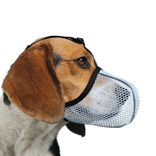 JOYPAWS Maulkorb für Hunde, atmungsaktiv, weich, für kleine bis mittelgroße Hunde, gegen Bellen, Beißen, Kauen, reflektierender und verstellbarer Korbmaulkorb mit Luftnetz, für Schnauzer, Blau, Größe JOYPAWS Maulkorb für Hunde, atmungsaktiv, weich, für kleine bis mittelgroße Hunde, gegen Bellen, Beißen, Kauen, reflektierender und verstellbarer Korbmaulkorb mit Luftnetz, für Schnauzer, Blau, Größe von JOYPAWS