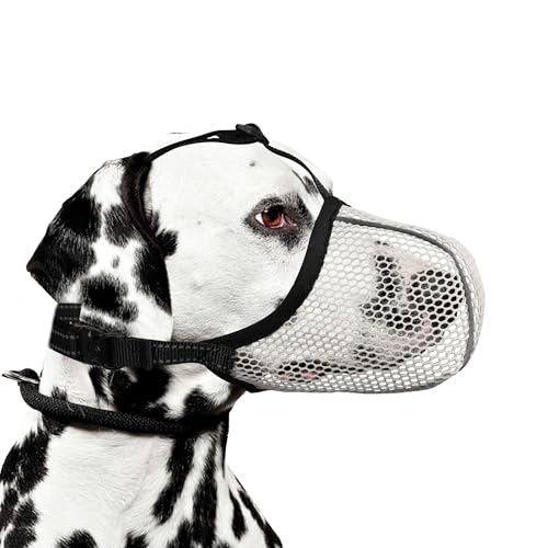 JOYPAWS Maulkorb für Hunde, atmungsaktiv, weich, für mittelgroße bis große Hunde, gegen Bellen, Beißen, Kauen, reflektierender und verstellbarer Korbmaulkorb mit Luftnetz, für Beagle, Beige, L JOYPAWS Maulkorb für Hunde, atmungsaktiv, weich, für mittelgroße bis große Hunde, gegen Bellen, Beißen, Kauen, reflektierender und verstellbarer Korbmaulkorb mit Luftnetz, für Beagle, Beige, L von JOYPAWS