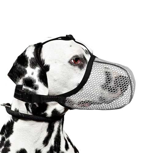 JOYPAWS Maulkorb für Hunde, atmungsaktiv, weich, für mittelgroße bis große Hunde, gegen Bellen, Beißen, Kauen, reflektierender und verstellbarer Korbmaulkorb mit Luftnetz, für Beagle, Grau, L JOYPAWS Maulkorb für Hunde, atmungsaktiv, weich, für mittelgroße bis große Hunde, gegen Bellen, Beißen, Kauen, reflektierender und verstellbarer Korbmaulkorb mit Luftnetz, für Beagle, Grau, L von JOYPAWS