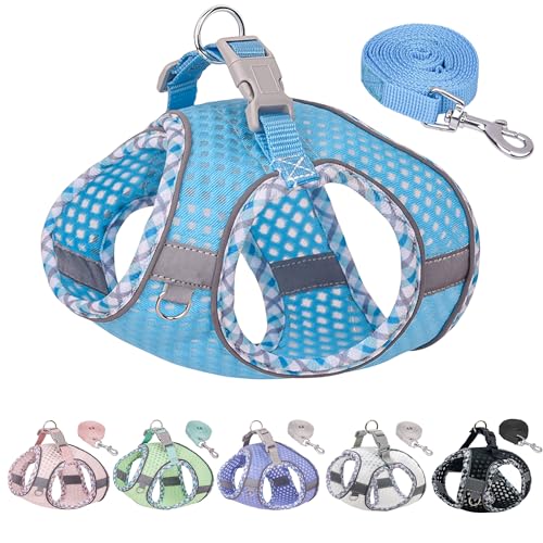 JOYPAWS Sommer-Hundegeschirr und Leine, weiches Hundewestengeschirr mit super atmungsaktivem Diamant-Mesh, reflektierendes Hundegeschirr gegen Ziehen, für Spaziergänge im Freien, Training für kleine von JOYPAWS