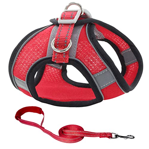 JOYPAWS Step-In Air Hundegeschirr und Leine, verstellbar, reflektierendes Katzengeschirr, für Welpen, Kätzchen, kleine Hunde und Katzen, Rot, XXS (Brustumfang: 29,2 cm - 33 cm) von JOYPAWS