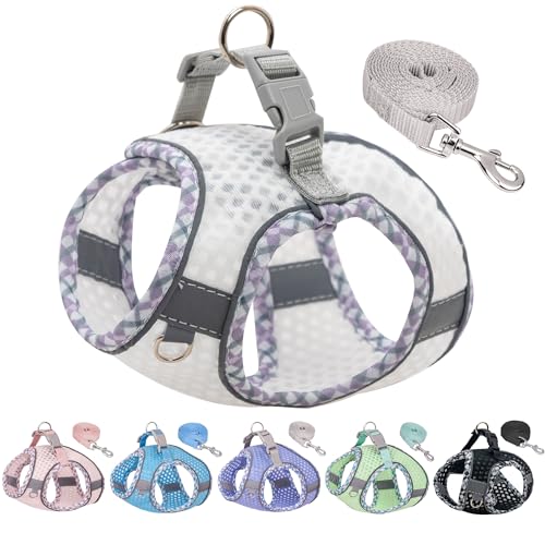 JOYPAWS Summer Pet Supply Hundegeschirr ohne Ziehen, verstellbares Hundegeschirr mit gepolsterter Weste für heißes Wetter, ausbruchsicher, ultradünn, weich, einfach anzuziehen, für kleine Hunde, Weiß, von JOYPAWS