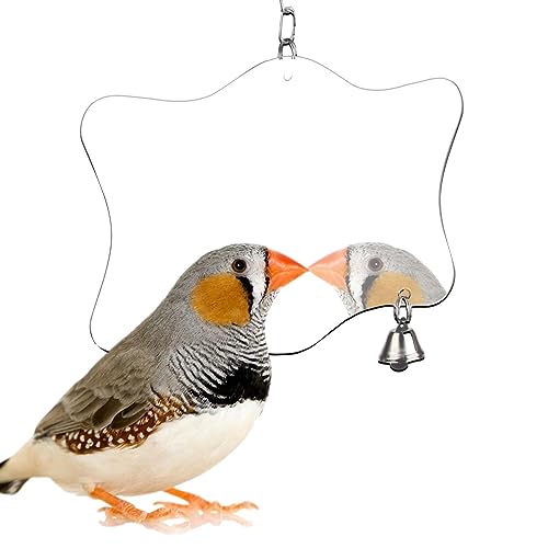 Vogelkäfig Spiegel | Großer Vogelspiegel mit Glocken - Acryl Spiegel Käfig Spielzeug für Vogelkäfige Zubehör für Jpsdows von JPSDOWS