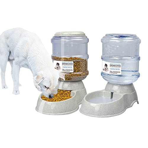 JQTOP Automatischer Futterspender für Katzen, Hunde, Wasserspender, Katzenfutterspender, 3,8 l, Haustierfutterspender, Set mit 1 x Wasserbrunnen und 1 x Futterspender, automatischer Futterspender für Katzen, Hunde, Kätzchen von JQTOP