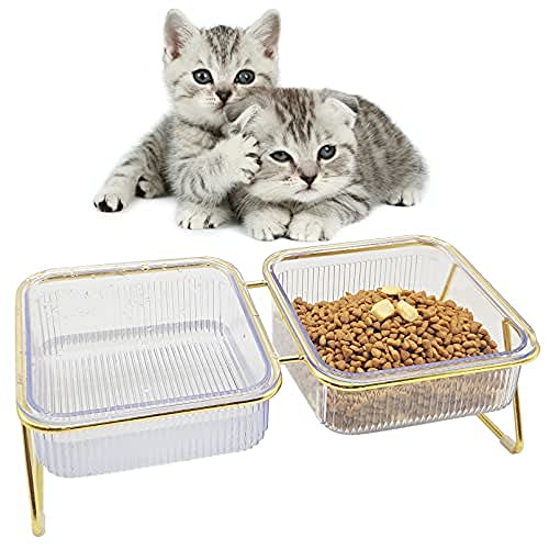 JQTOP Erhöhte Katzennäpfe für Indoor-Katzen, Futter- und Wasserschalen, 15 ° geneigt, erhöhte Haustiere, Futterstation, goldener Eisenständer, rutschfest, transparent, für Kätzchen, kleine Hunde von JQTOP