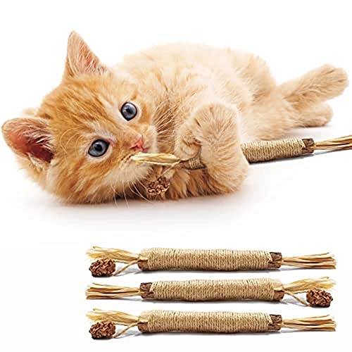 JQTOP Katzenspielzeug mit Silbervine für Katzen, Silvervine Sticks Interaktives Katzenspielzeug für Indoor-Katzen, essbare Katzenminze Kauspielzeug für Katzen lecken, Kätzchenzahnreinigung und frischer Atem (3 Packungen) von JQTOP