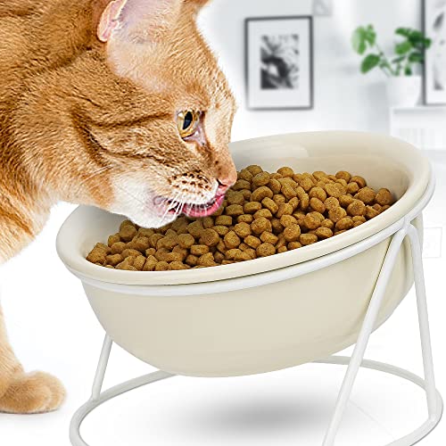 JQTOP Keramik Katzennapf Erhöhte Katzennäpfe 16 cm Heavy Duty Katzenfutter Schalen Katze Wassernapf Erhöhte Hundenäpfe für erwachsene Katze kleine Hunde und Haustiere von JQTOP