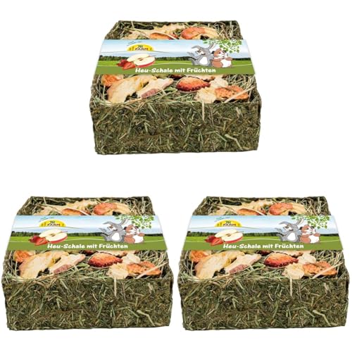 JR Farm Heu-Schale mit Früchten 100 g (Packung mit 3) von JR FARM GmbH