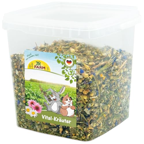 JR Farm Vital-Kräuter 480 g im Eimer (Kräuter für Zwergkaninchen und Nager, Ergänzungsfuttermittel) von JR FARM GmbH