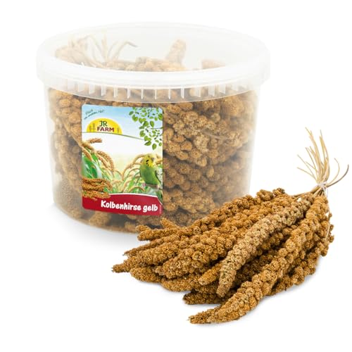 JR FARM Birds Kolbenhirse gelb im Eimer 500 g von JR Farm